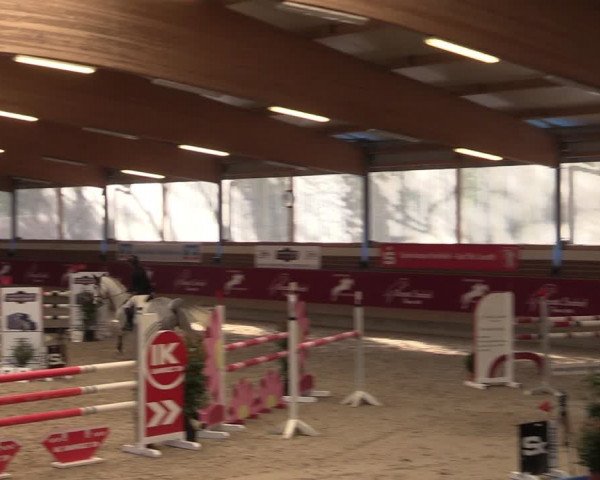 Reitturnier Kaldenkirchen - Gestüt Seehof 2024
