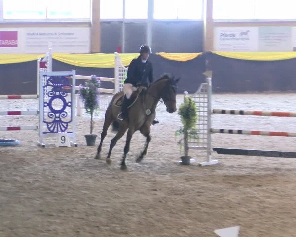 Reitturnier Sauldorf-Boll 2024