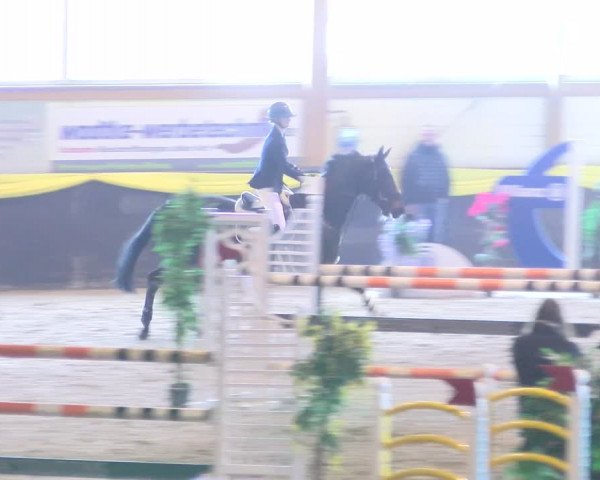 Reitturnier Sauldorf-Boll 2024