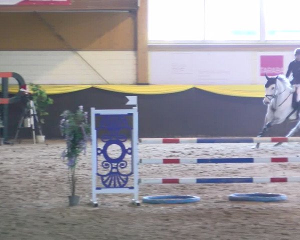 Reitturnier Sauldorf-Boll 2024