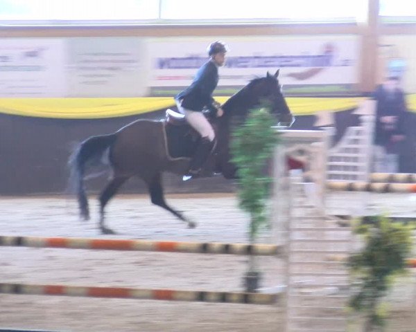 Reitturnier Sauldorf-Boll 2024