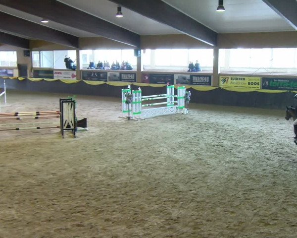 Reitturnier Sauldorf-Boll 2024