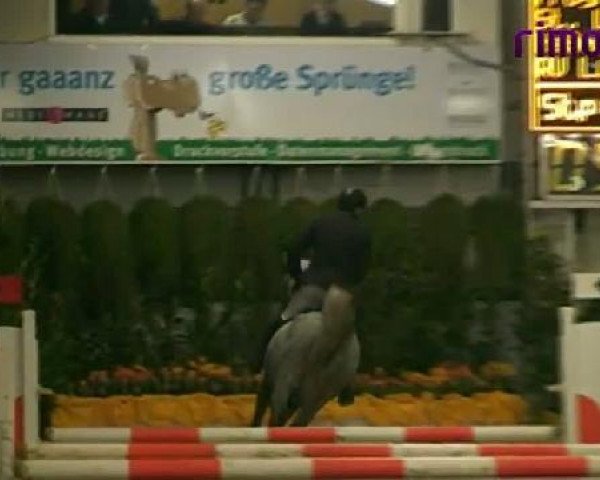 Vreden 2011