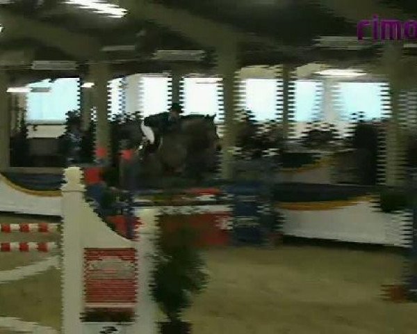 Vreden 2011