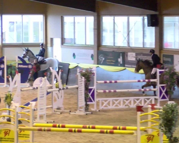 Reitturnier Sauldorf-Boll 2024