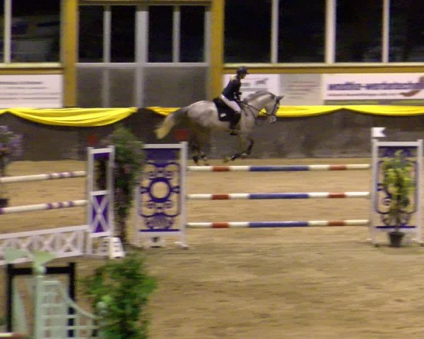 Reitturnier Sauldorf-Boll 2024