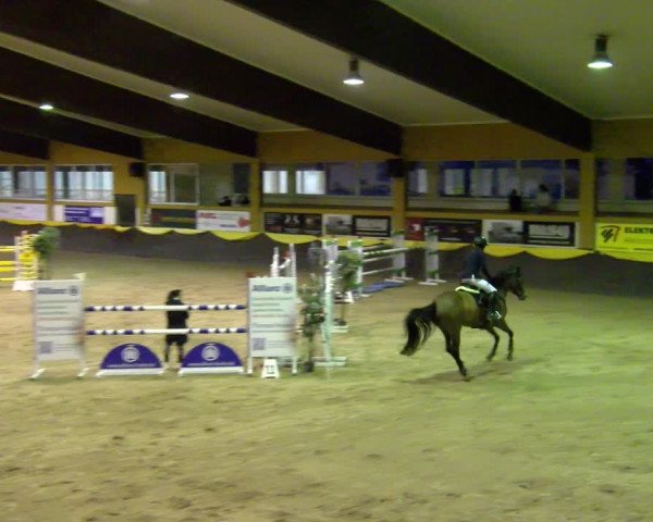 Reitturnier Sauldorf-Boll 2024