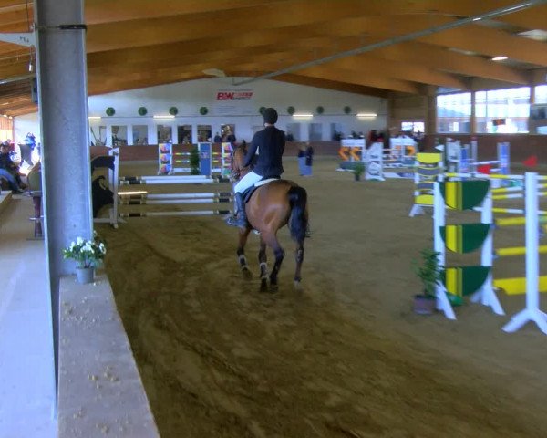 Reitturnier Coesfeld-Lette 2024