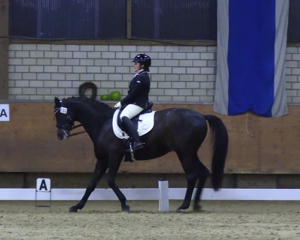 Reitturnier Hellefeld 2024