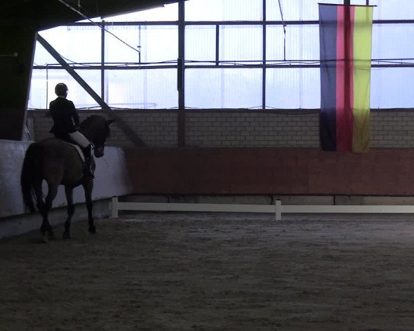 Reitturnier Hellefeld 2024