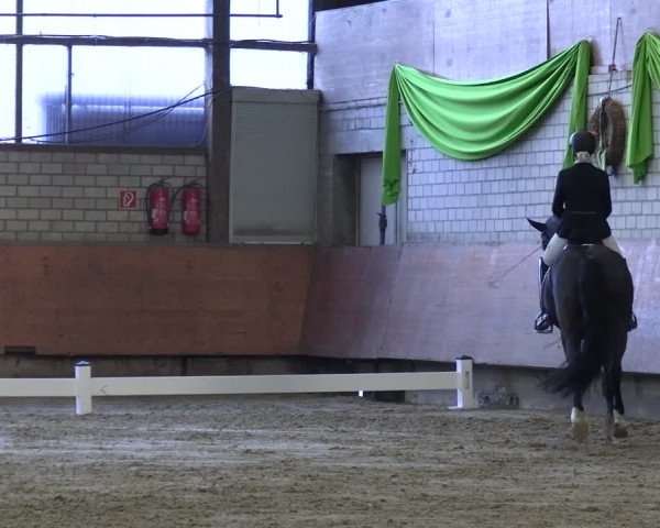 Reitturnier Hellefeld 2024