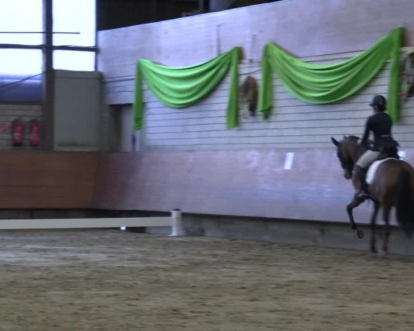 Reitturnier Hellefeld 2024