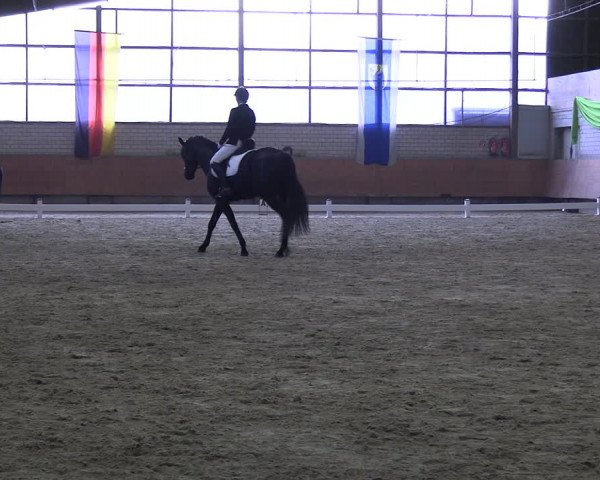 Reitturnier Hellefeld 2024