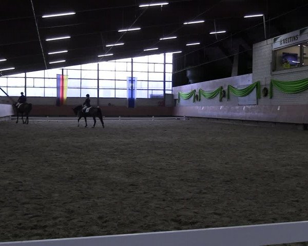 Reitturnier Hellefeld 2024