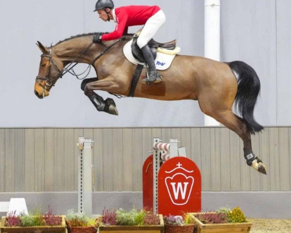 jumper Icon (Westphalian, 2019, from I'm Special de Muze)