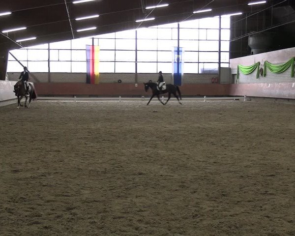 Reitturnier Hellefeld 2024