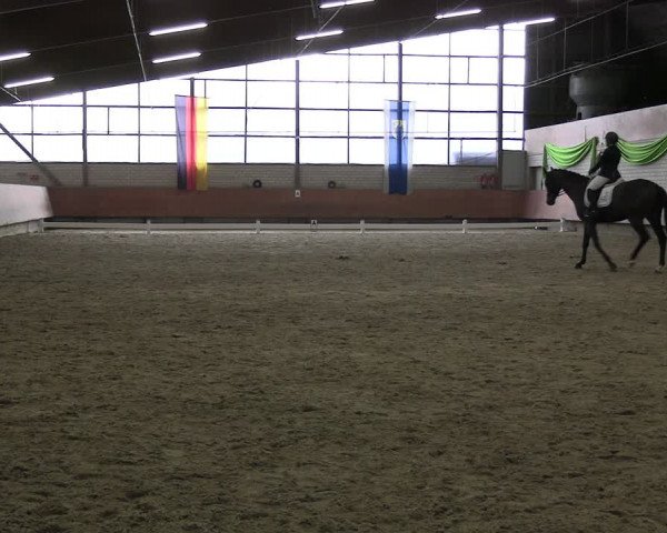 Reitturnier Hellefeld 2024