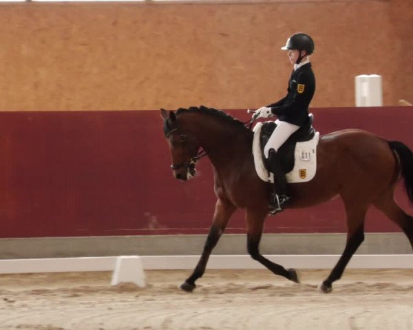 Reitturnier Balingen 2024