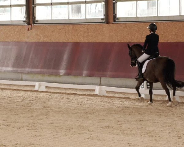 Reitturnier Balingen 2024
