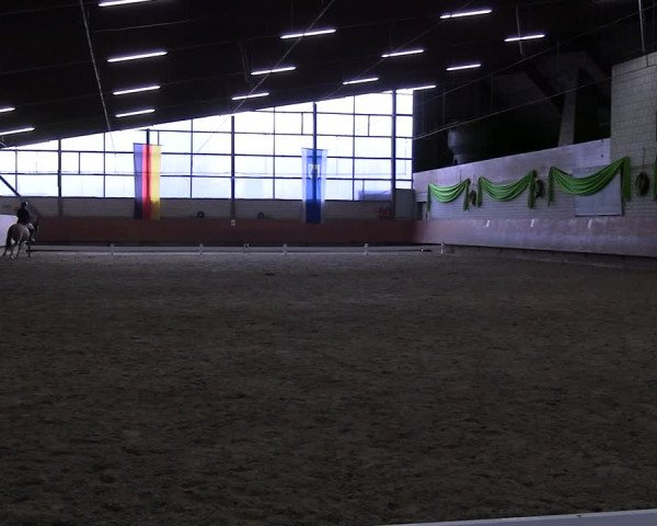 Reitturnier Hellefeld 2024
