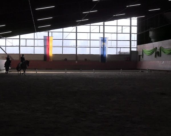Reitturnier Hellefeld 2024