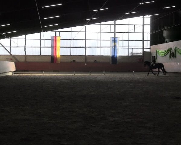 Reitturnier Hellefeld 2024