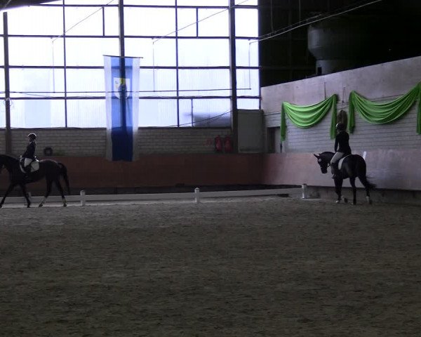 Reitturnier Hellefeld 2024