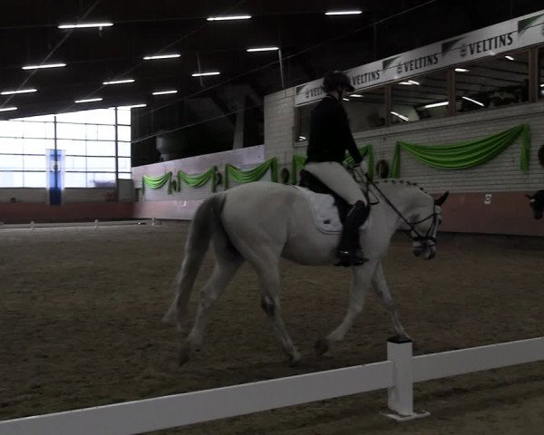 Reitturnier Hellefeld 2024