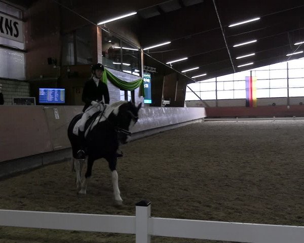 Reitturnier Hellefeld 2024