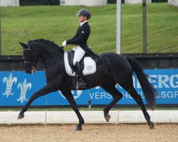 dressage horse Umani 2 (Bavarian, 2006, from Unee)