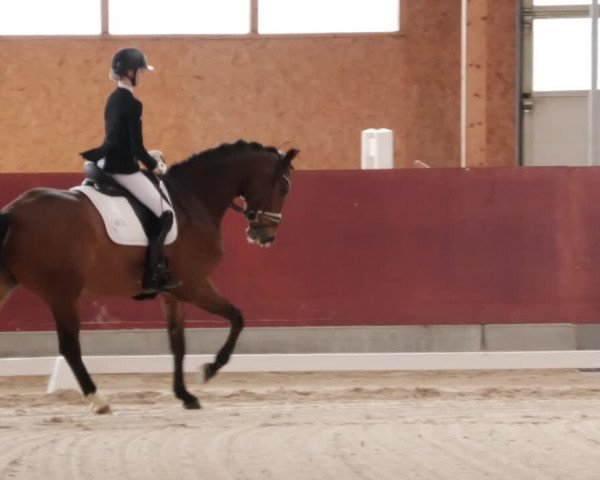 Reitturnier Balingen 2024