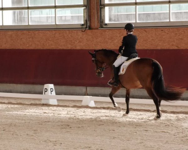 Reitturnier Balingen 2024