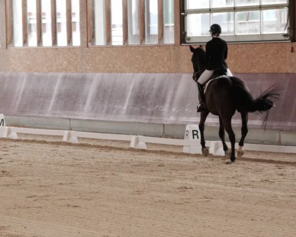 Reitturnier Balingen 2024