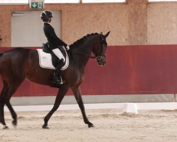 Reitturnier Balingen 2024