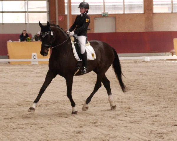 Reitturnier Balingen 2024