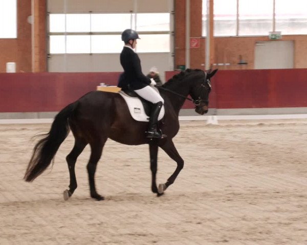 Reitturnier Balingen 2024