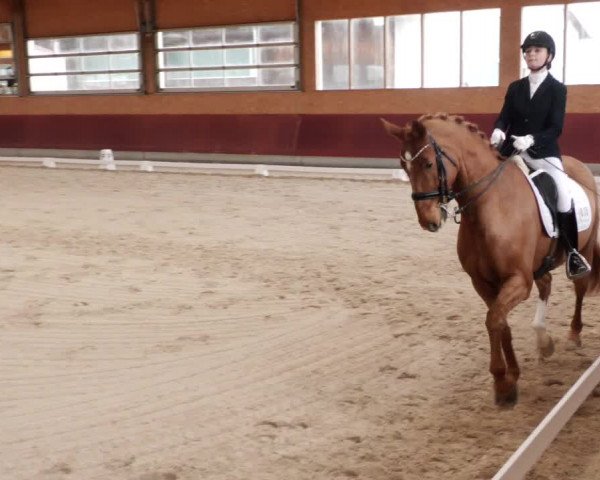 Reitturnier Balingen 2024