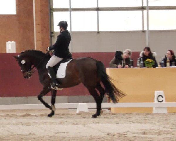 Reitturnier Balingen 2024