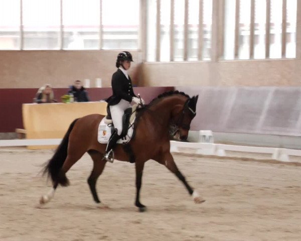 Reitturnier Balingen 2024