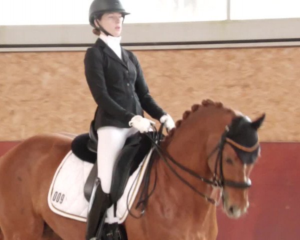 Reitturnier Balingen 2024