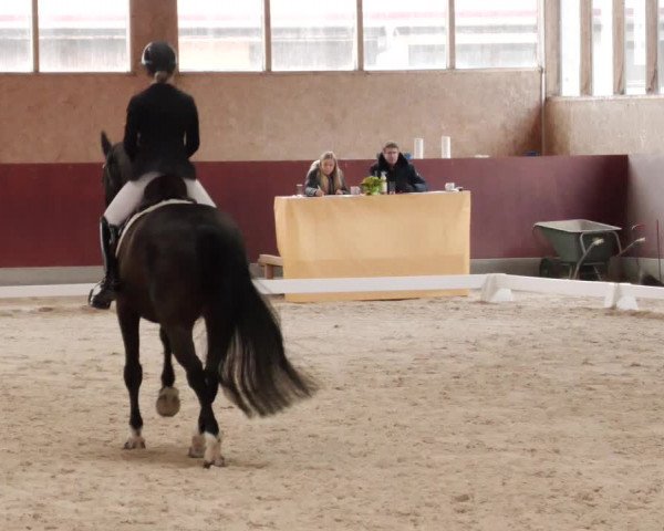 Reitturnier Balingen 2024