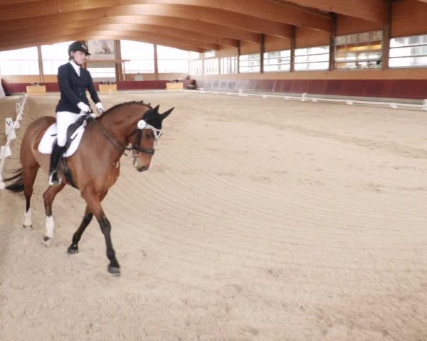 Reitturnier Balingen 2024
