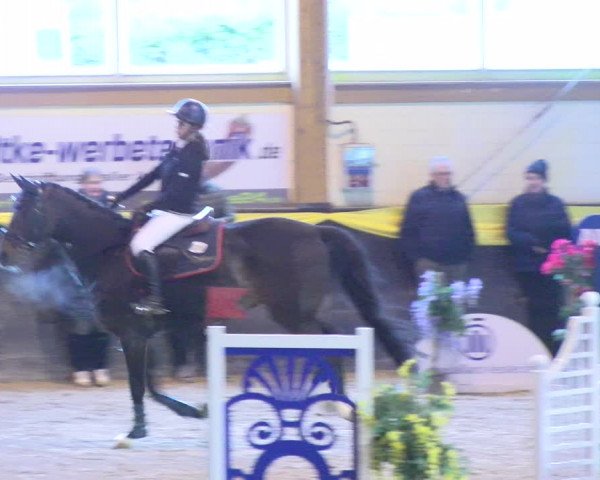 Reitturnier Sauldorf-Boll 2024
