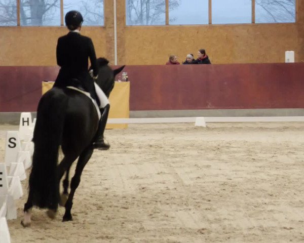 Reitturnier Balingen 2024