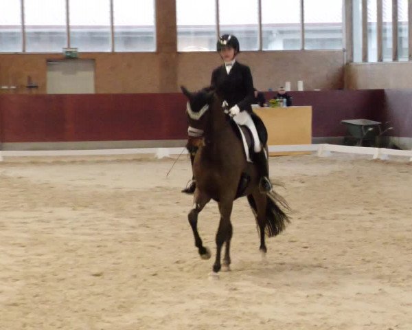 Reitturnier Balingen 2024