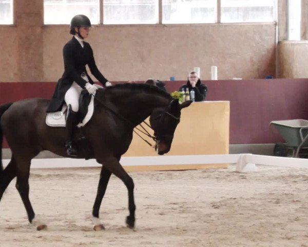 Reitturnier Balingen 2024