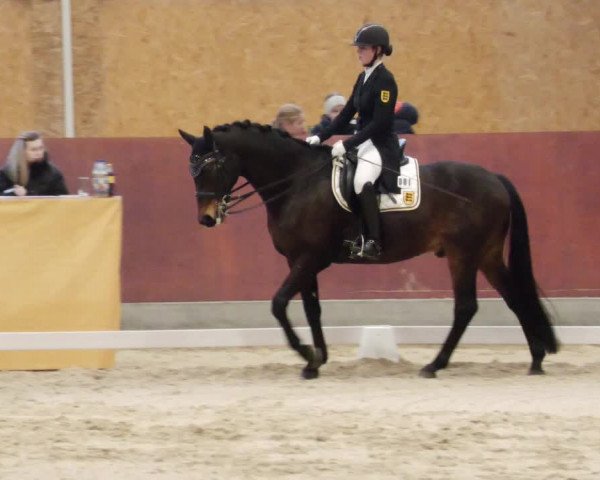 Reitturnier Balingen 2024