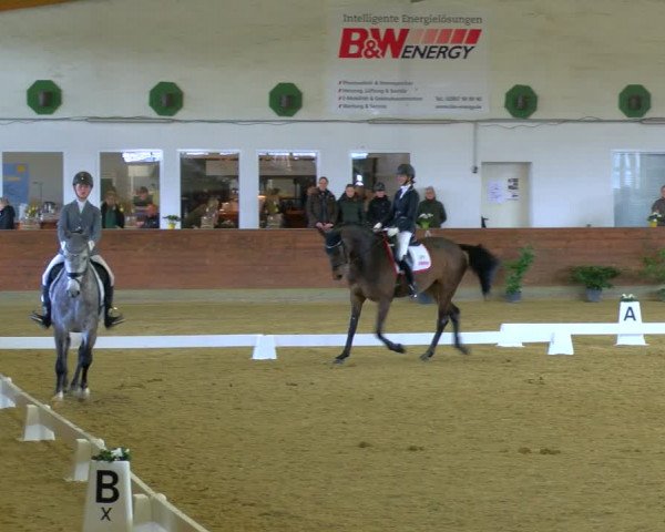 Reitturnier Coesfeld-Lette 2024
