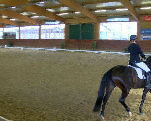 Reitturnier Coesfeld-Lette 2024