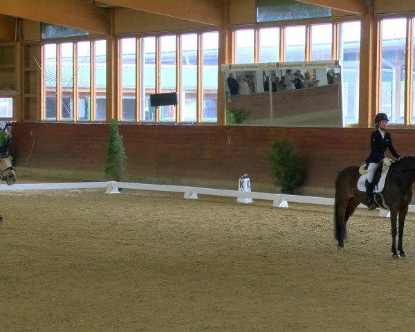 Reitturnier Coesfeld-Lette 2024